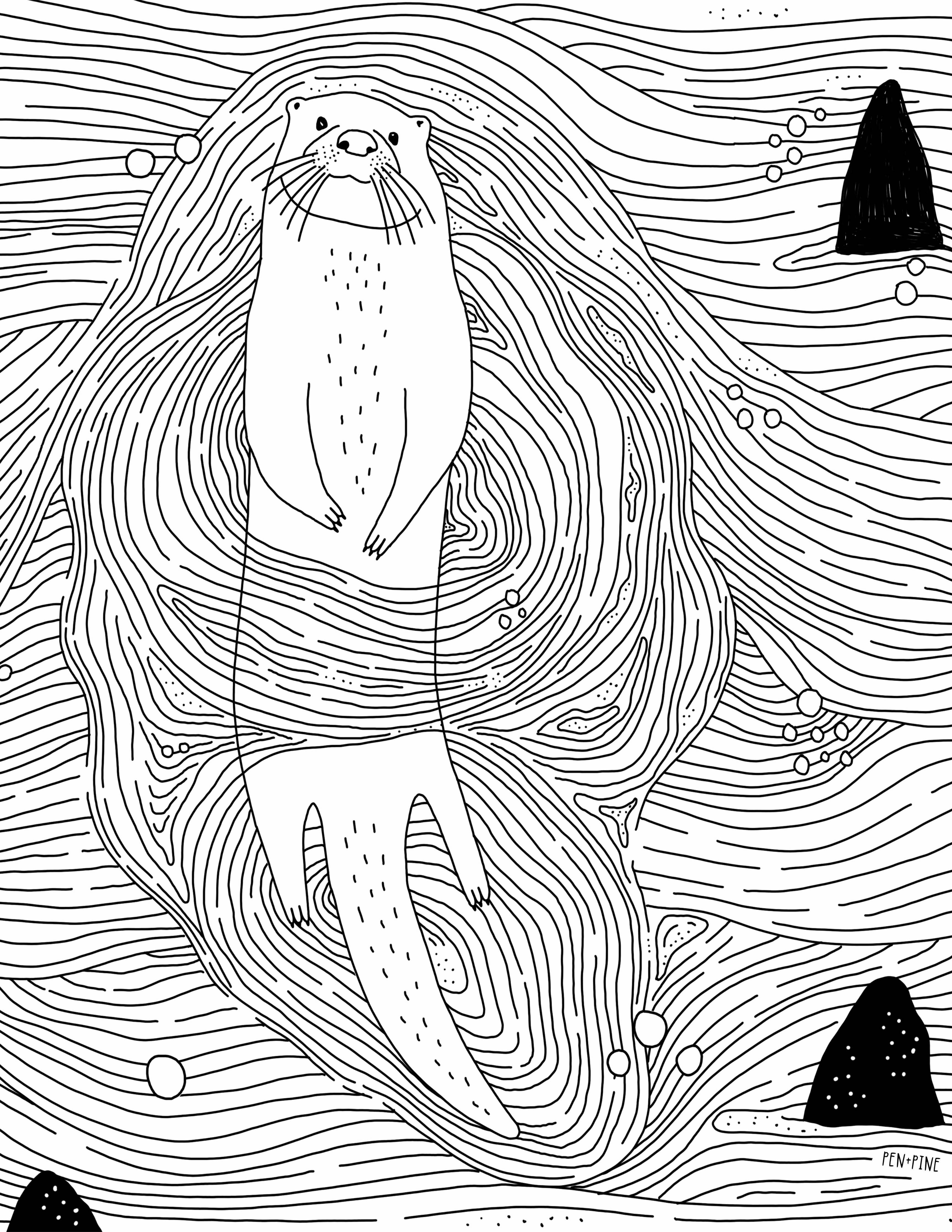 Pen+Pine - West Coast Wonderful Coloring Book