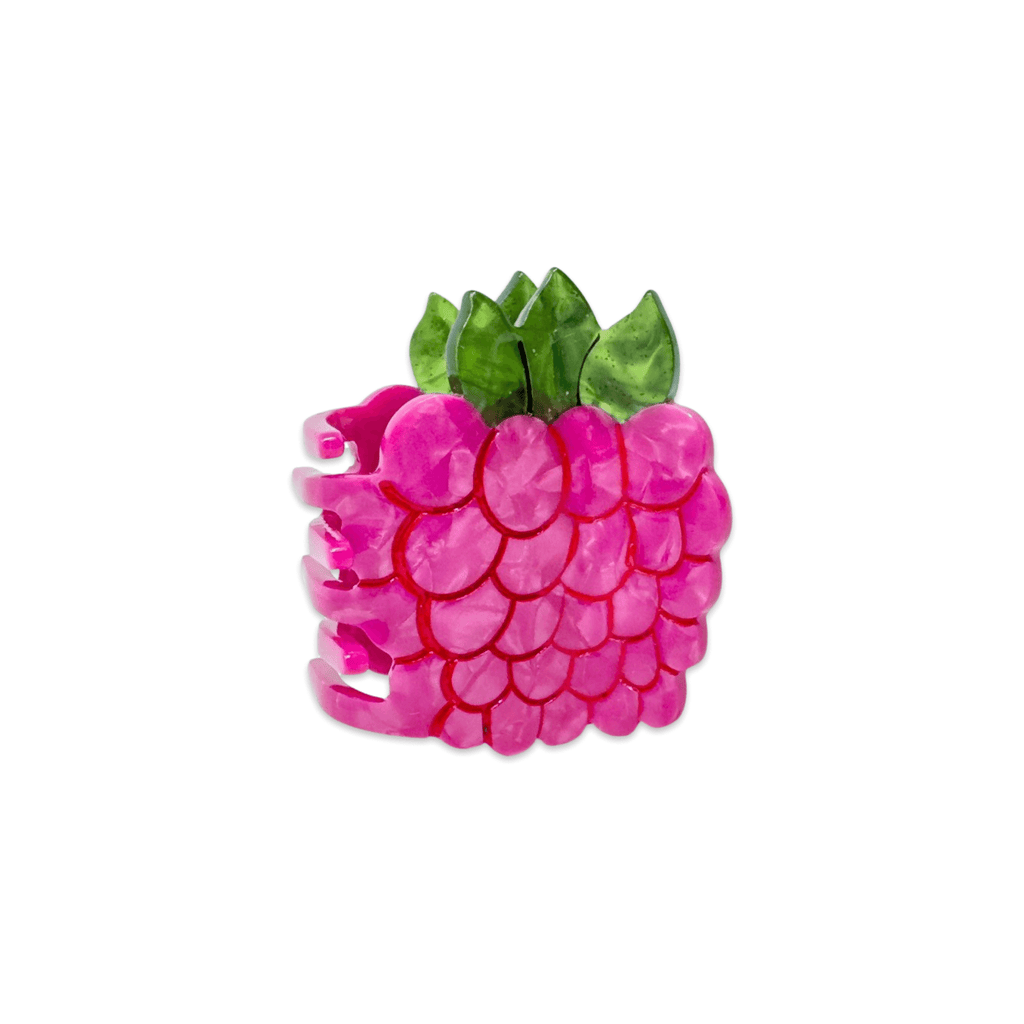 Jenny Lemons Hair Claw Clip - Mini Raspberry