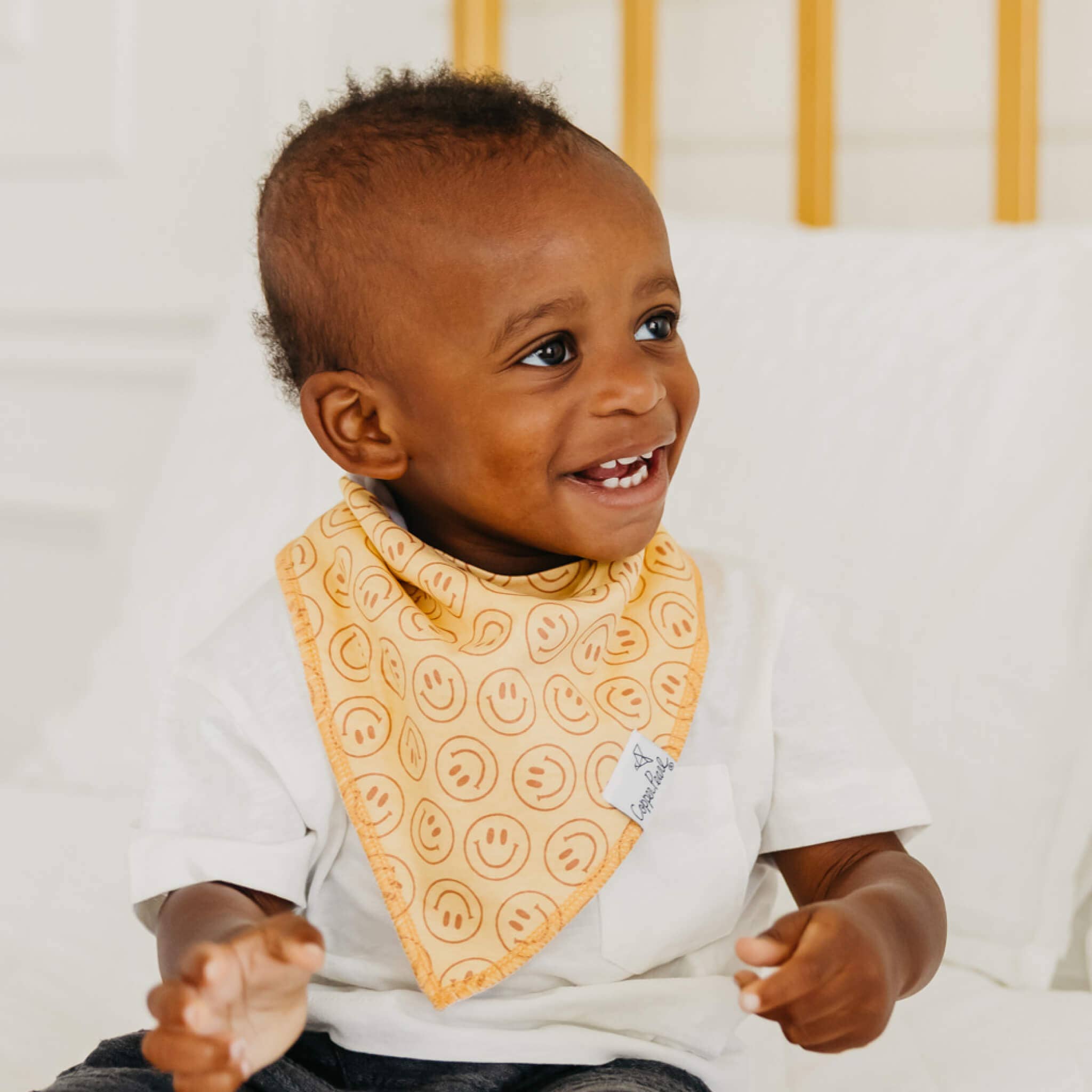 Copper Pearl Baby Bandana Bibs - Vance (Set of 4)