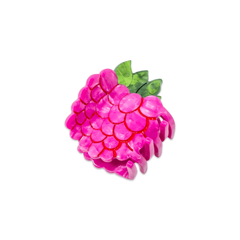 Jenny Lemons Hair Claw Clip - Mini Raspberry