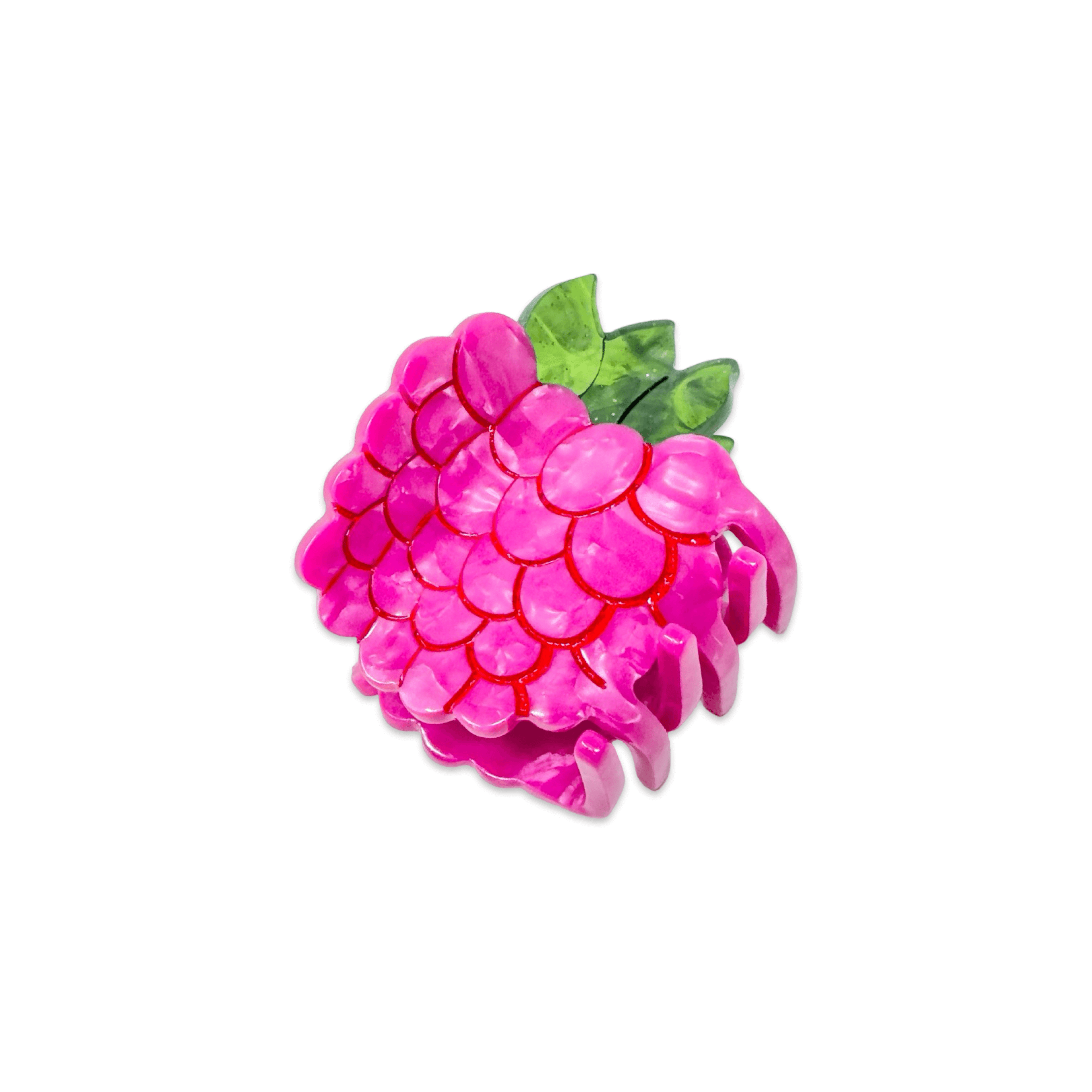 Jenny Lemons Hair Claw Clip - Mini Raspberry