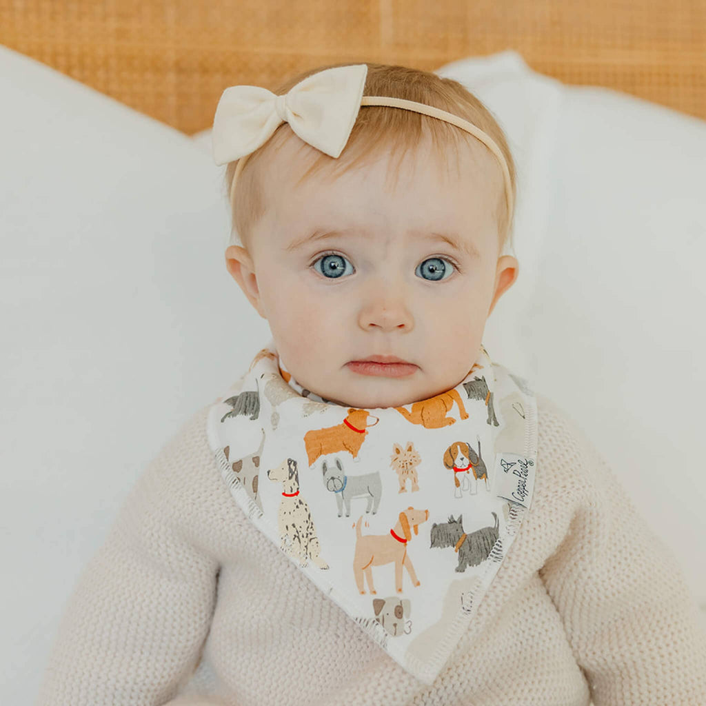 Copper Pearl Baby Bandana Bibs - Rufus (Set of 4)