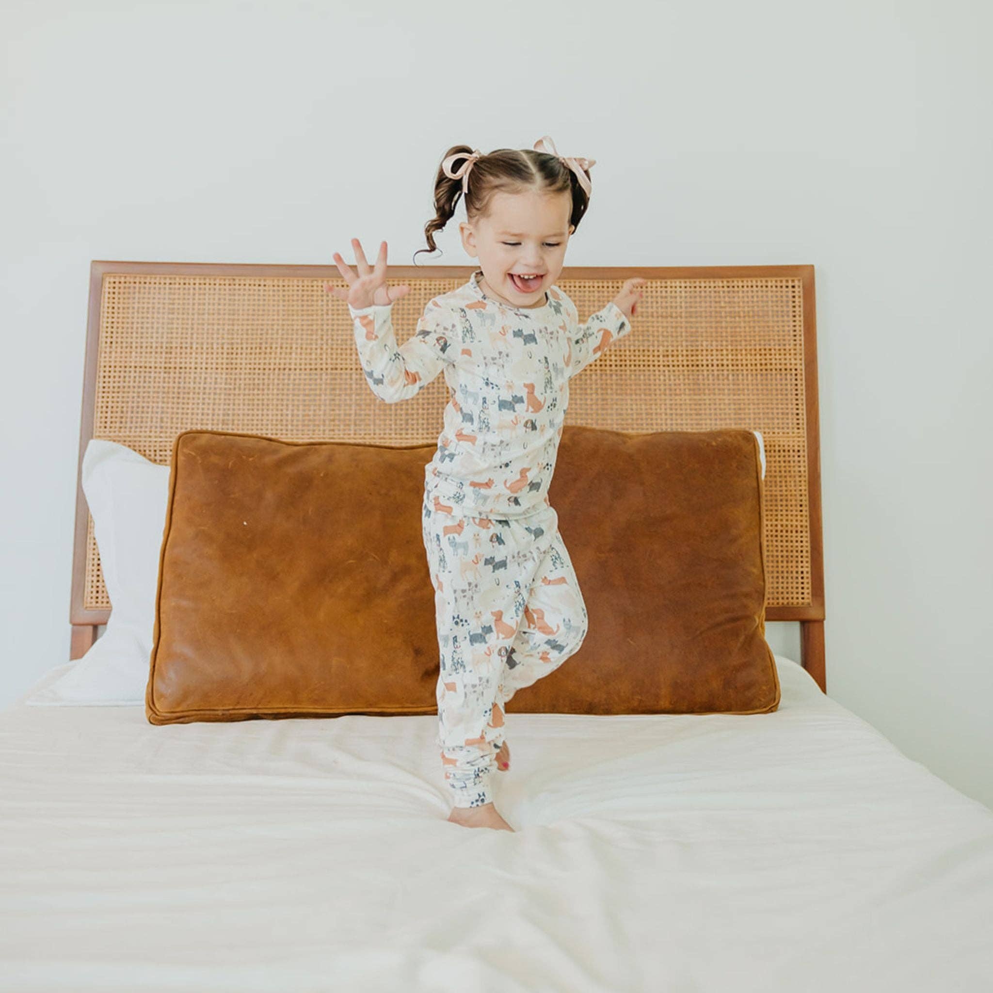 Copper Pearl Long Sleeve Pajama Set - Rufus