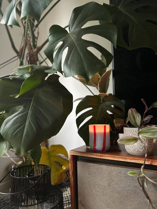 MÆGEN - Atina Candle - Tomato & Mint Leaf