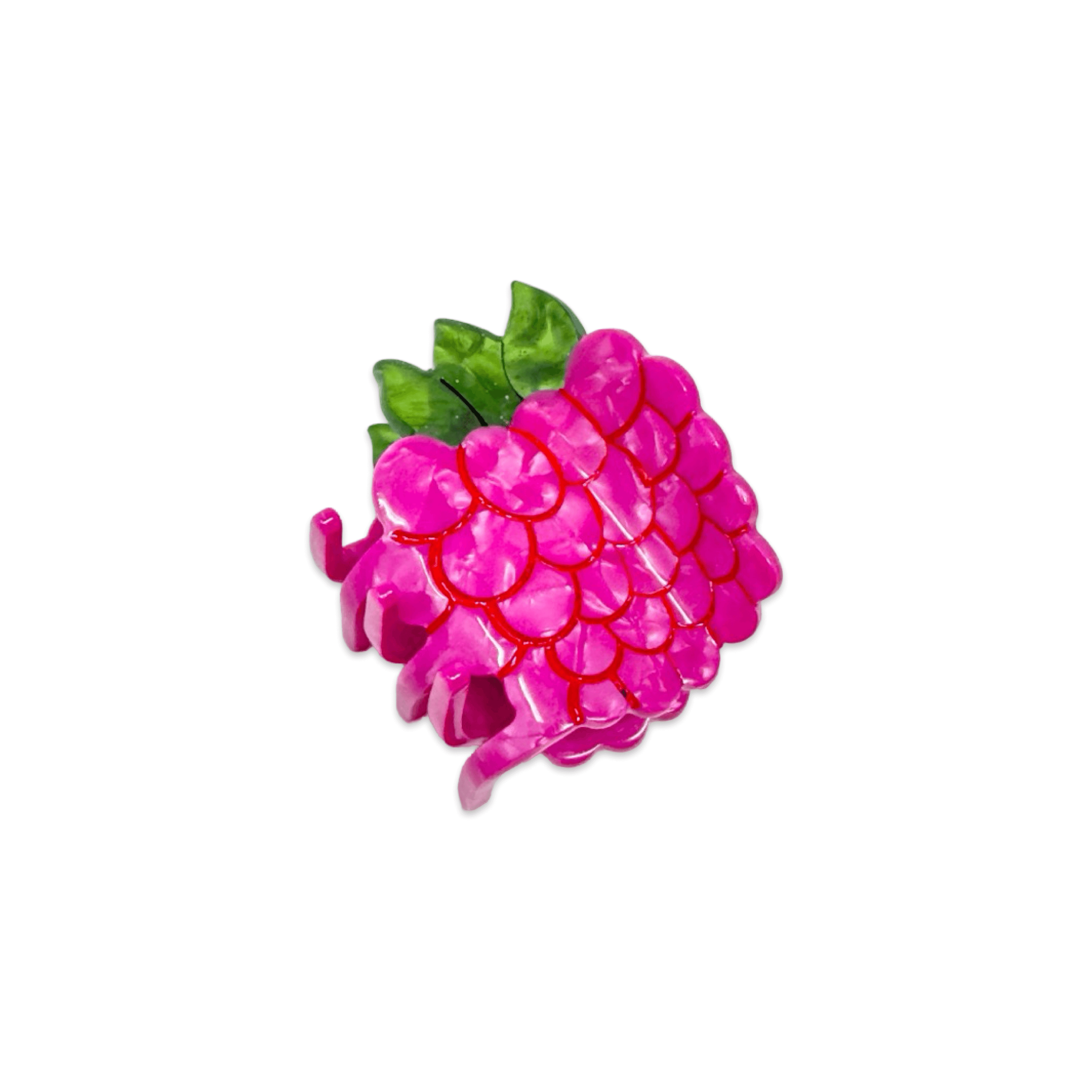 Jenny Lemons Hair Claw Clip - Mini Raspberry
