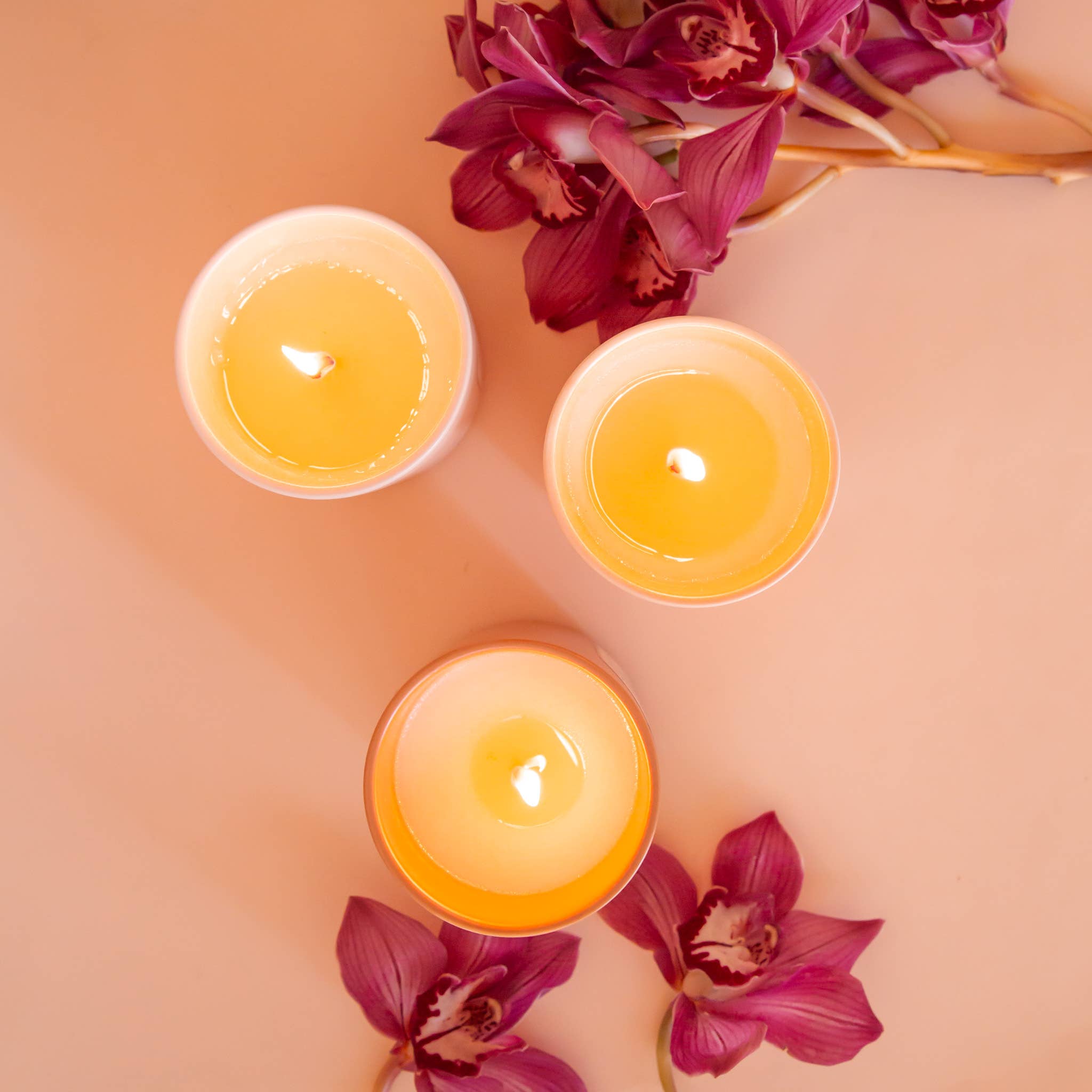 Jungle Club - Tropic Sunrise Candle | Pomelo, Coconut, & Orange