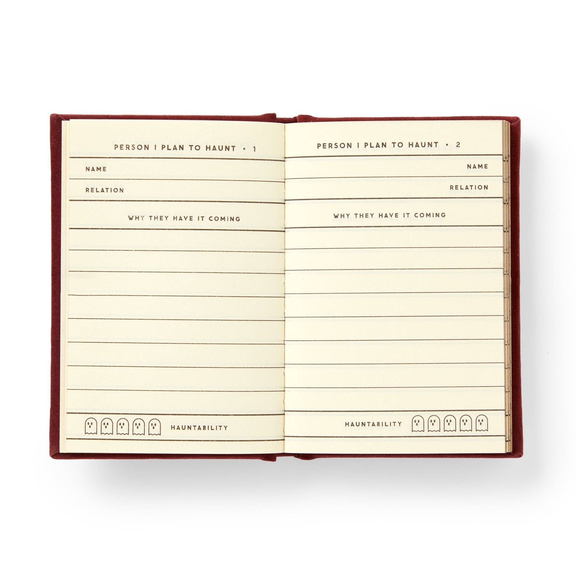 Chronicle Books - Brass Monkey People I Plan To Haunt Tiny Diary