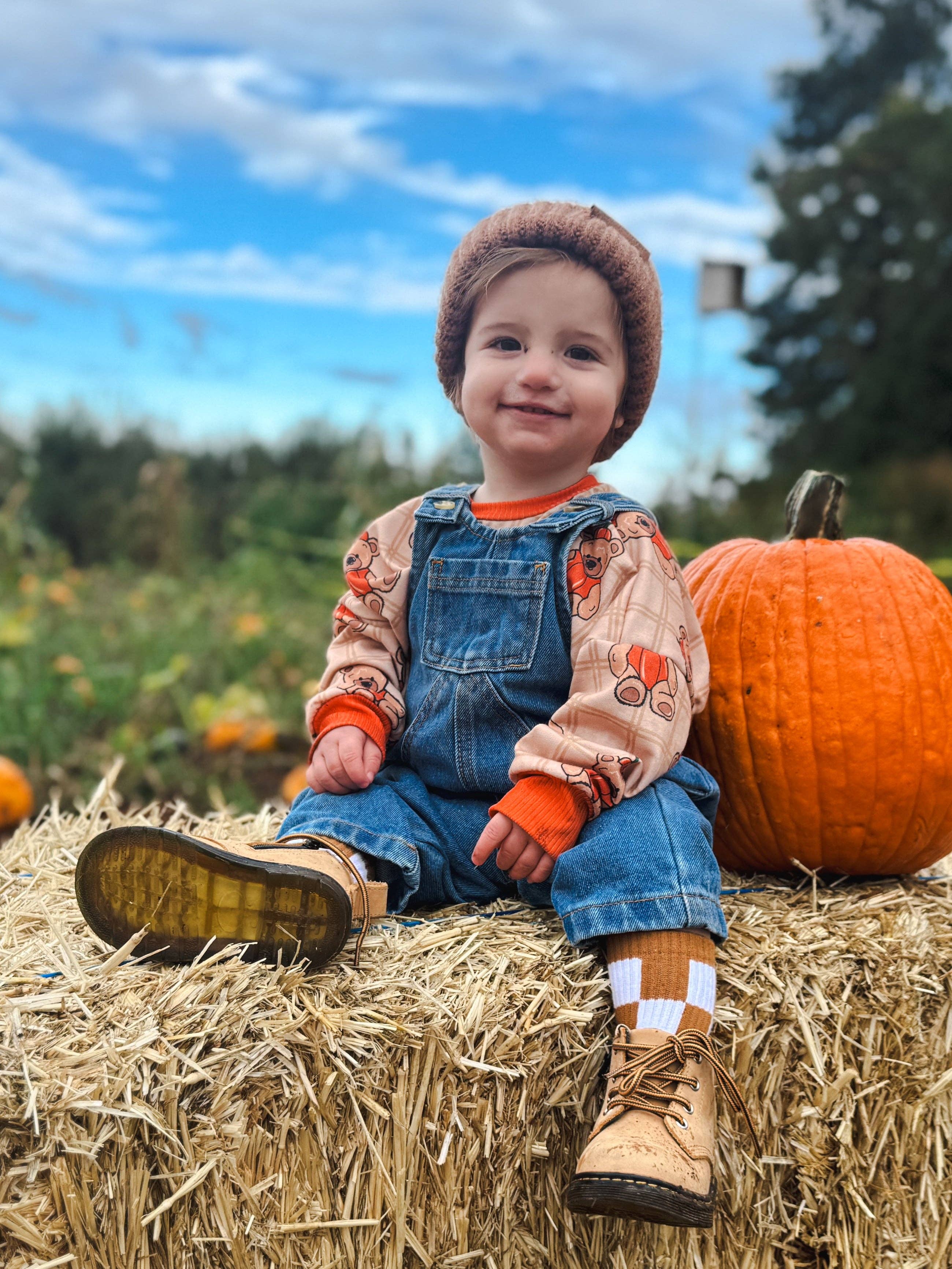 Kickin it up Socks - Camel Checker