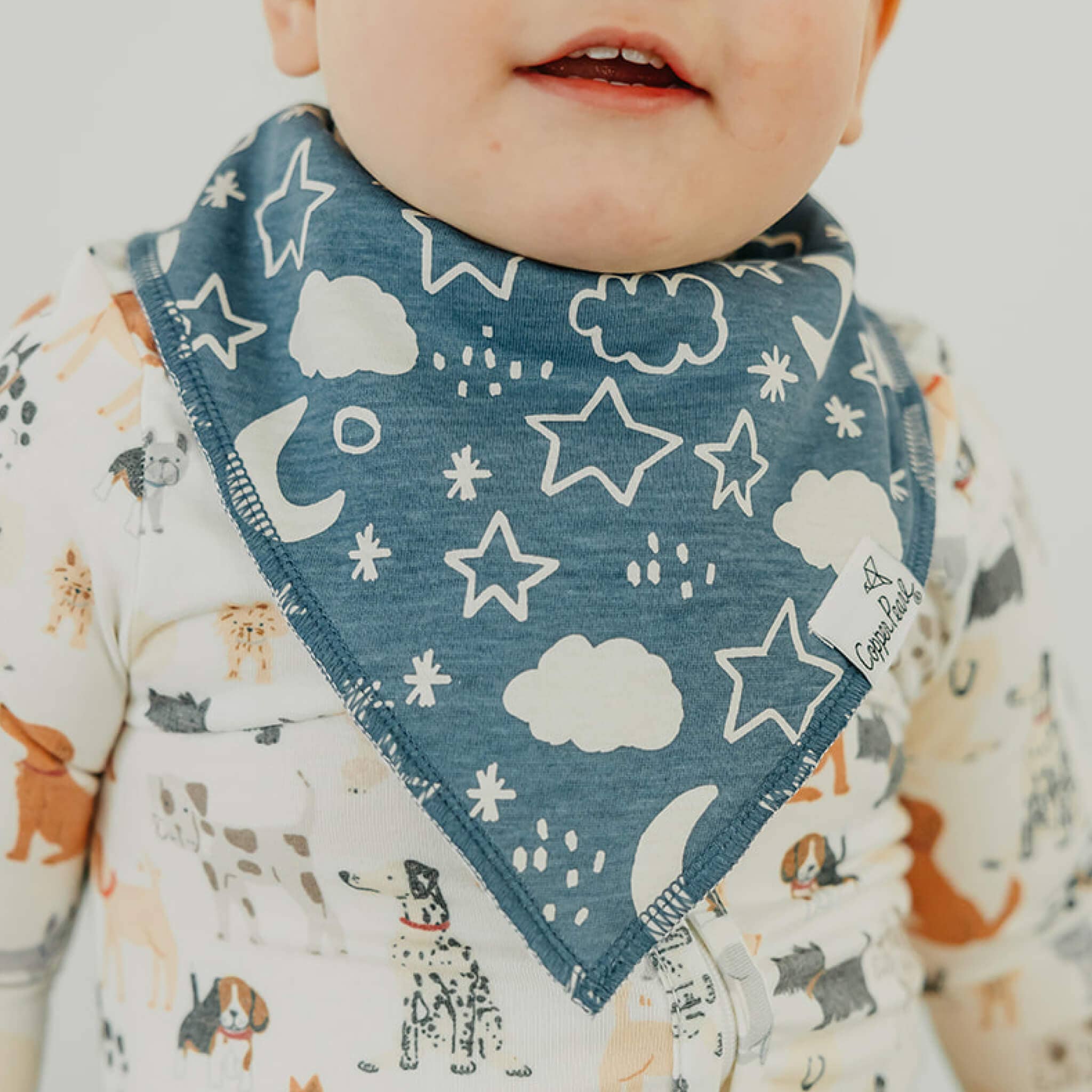 Copper Pearl Baby Bandana Bibs - Rufus (Set of 4)