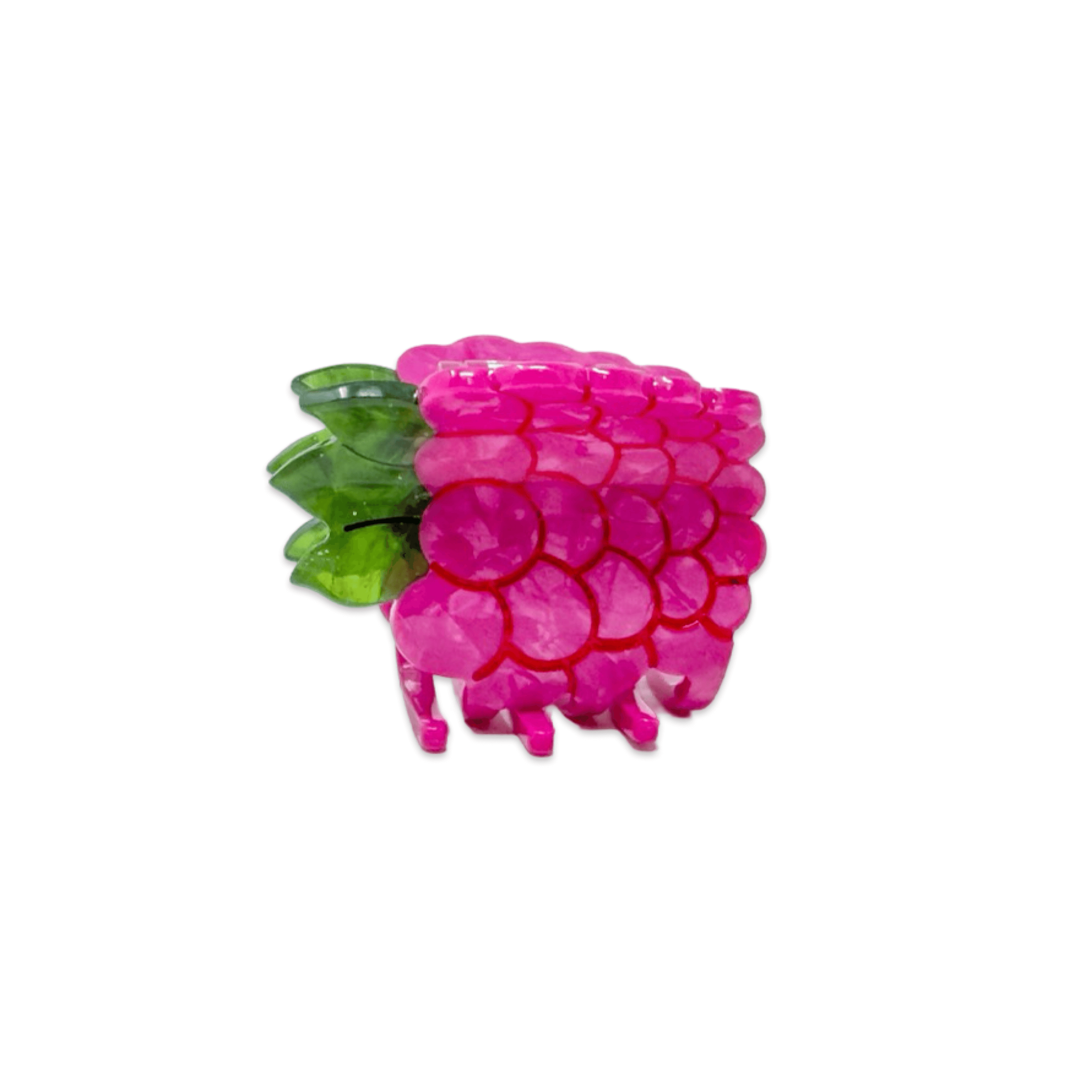 Jenny Lemons Hair Claw Clip - Mini Raspberry
