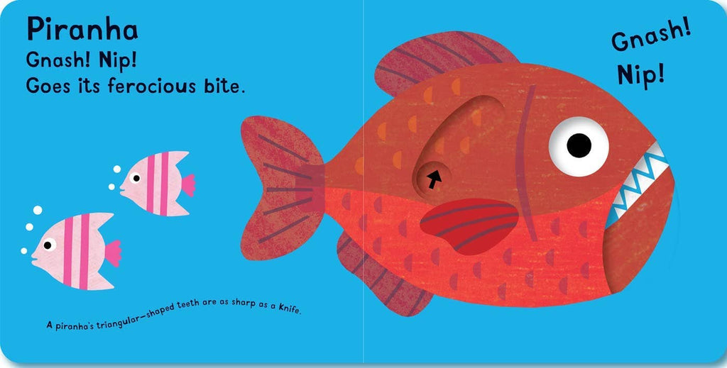 Snap! Snap! I’m a Crocodile! Board Book