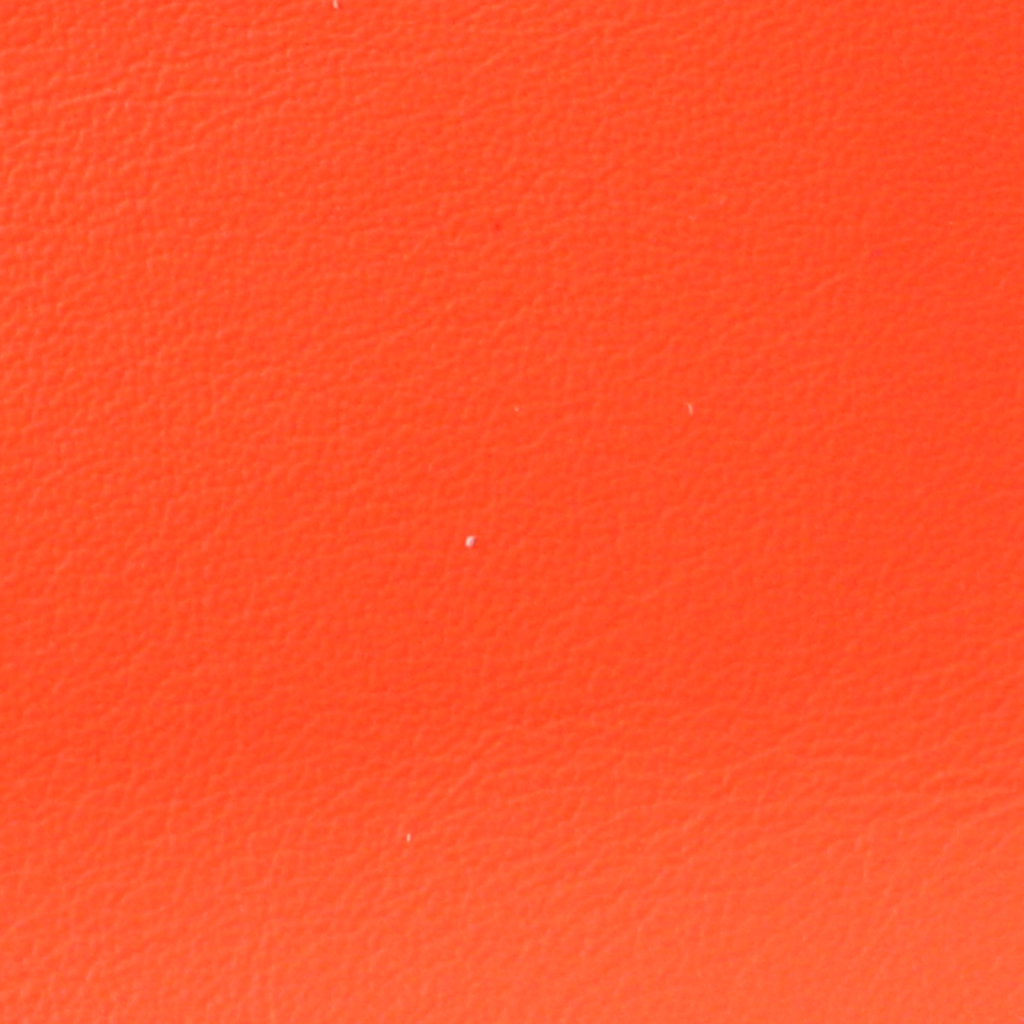 Zina Kao - The Neon Wallet