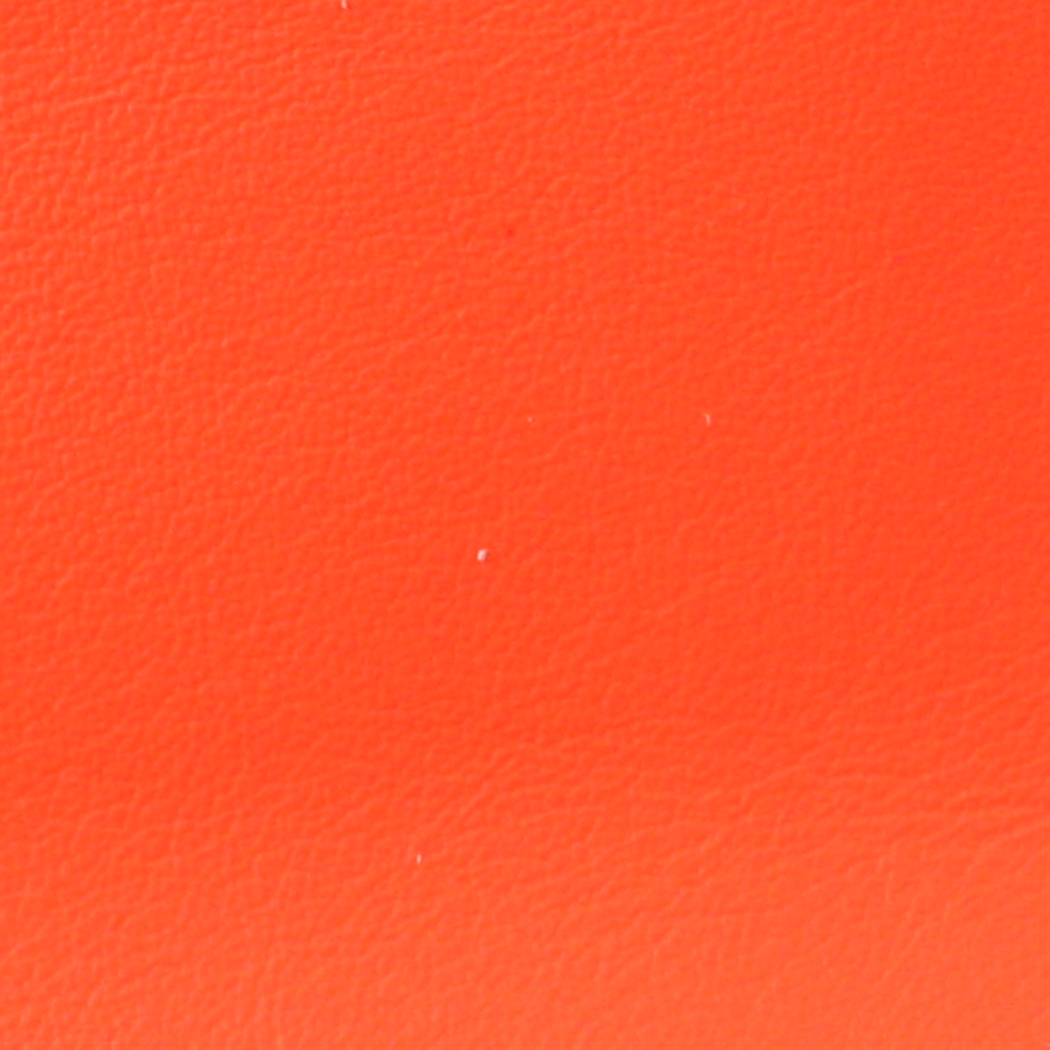 Zina Kao - The Neon Wallet