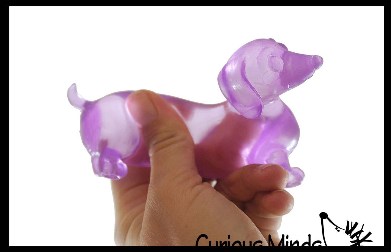 Squishy Dachshund Dog
