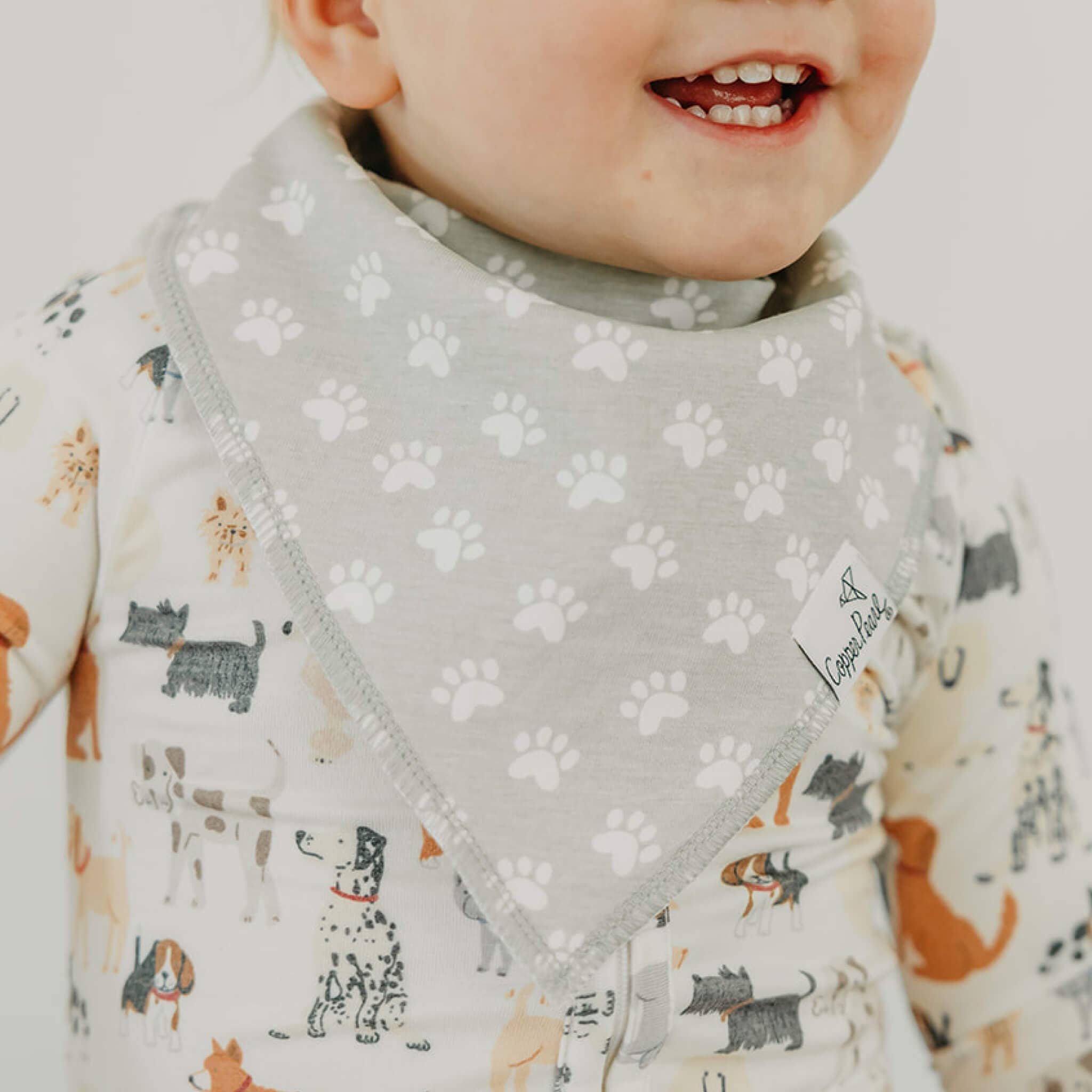 Copper Pearl Baby Bandana Bibs - Rufus (Set of 4)