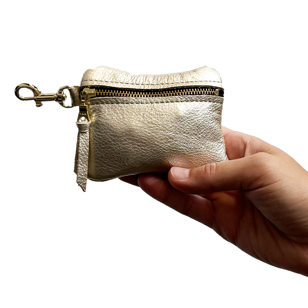 Zina Kao - The Metallic Tia Wallet