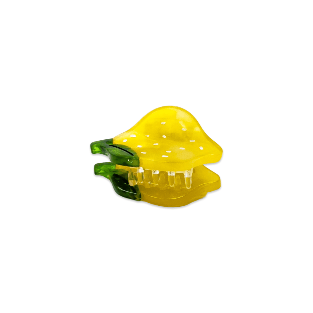 Jenny Lemons Hair Claw Clip Set - Micro Fruit and Flowers