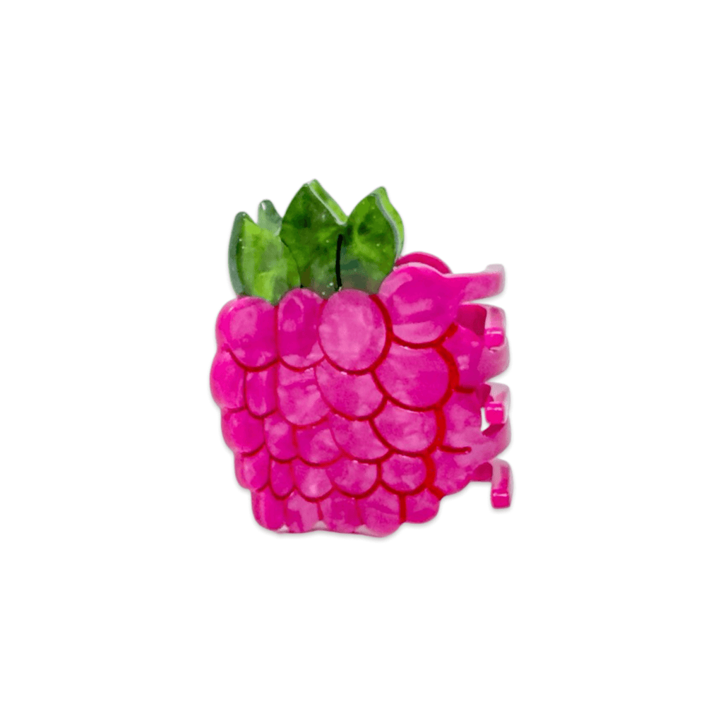 Jenny Lemons Hair Claw Clip - Mini Raspberry