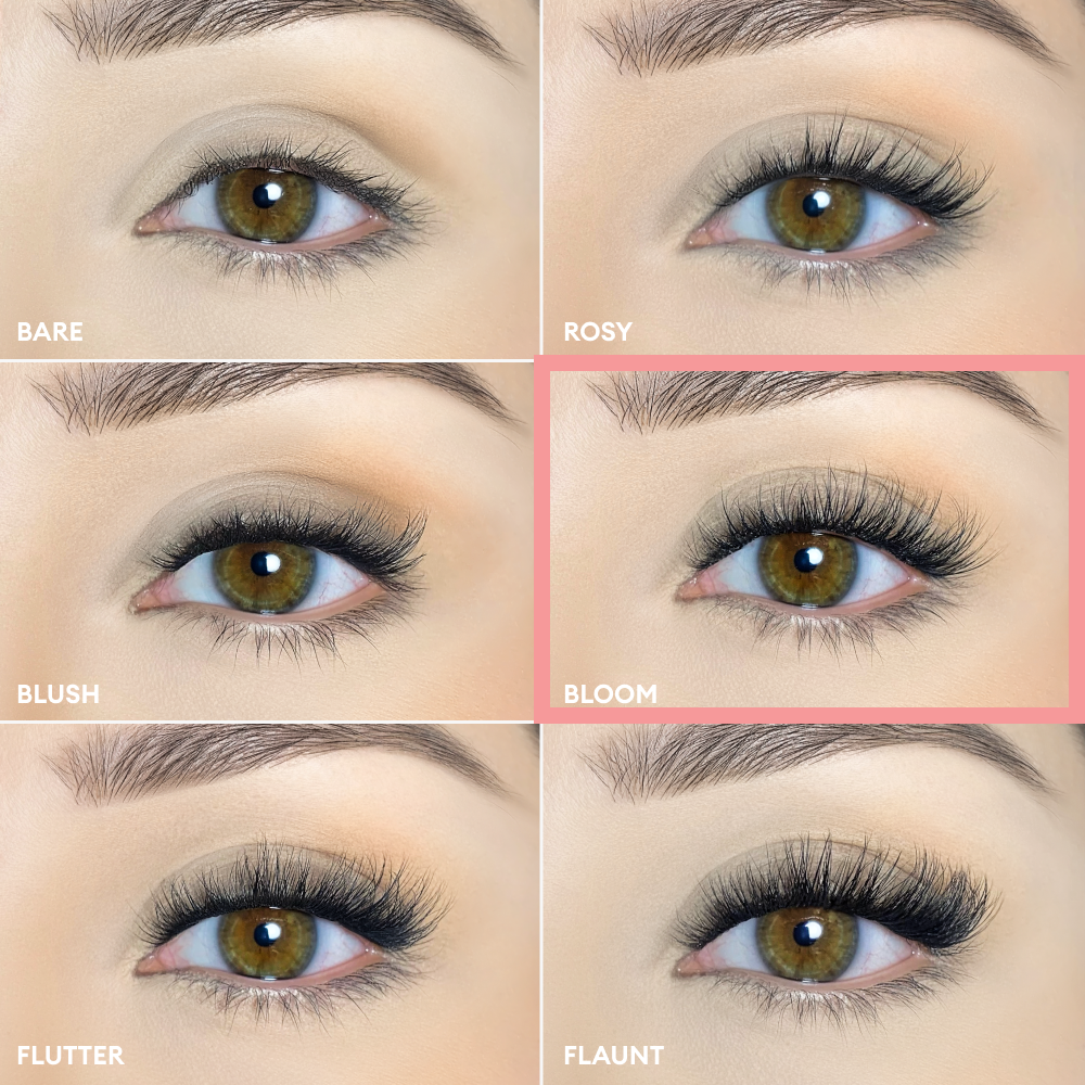 Silly George Pop-On Lashes - Bloom Black