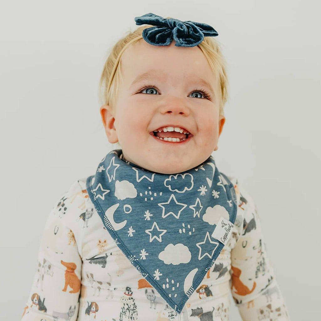 Copper Pearl Baby Bandana Bibs - Rufus (Set of 4)