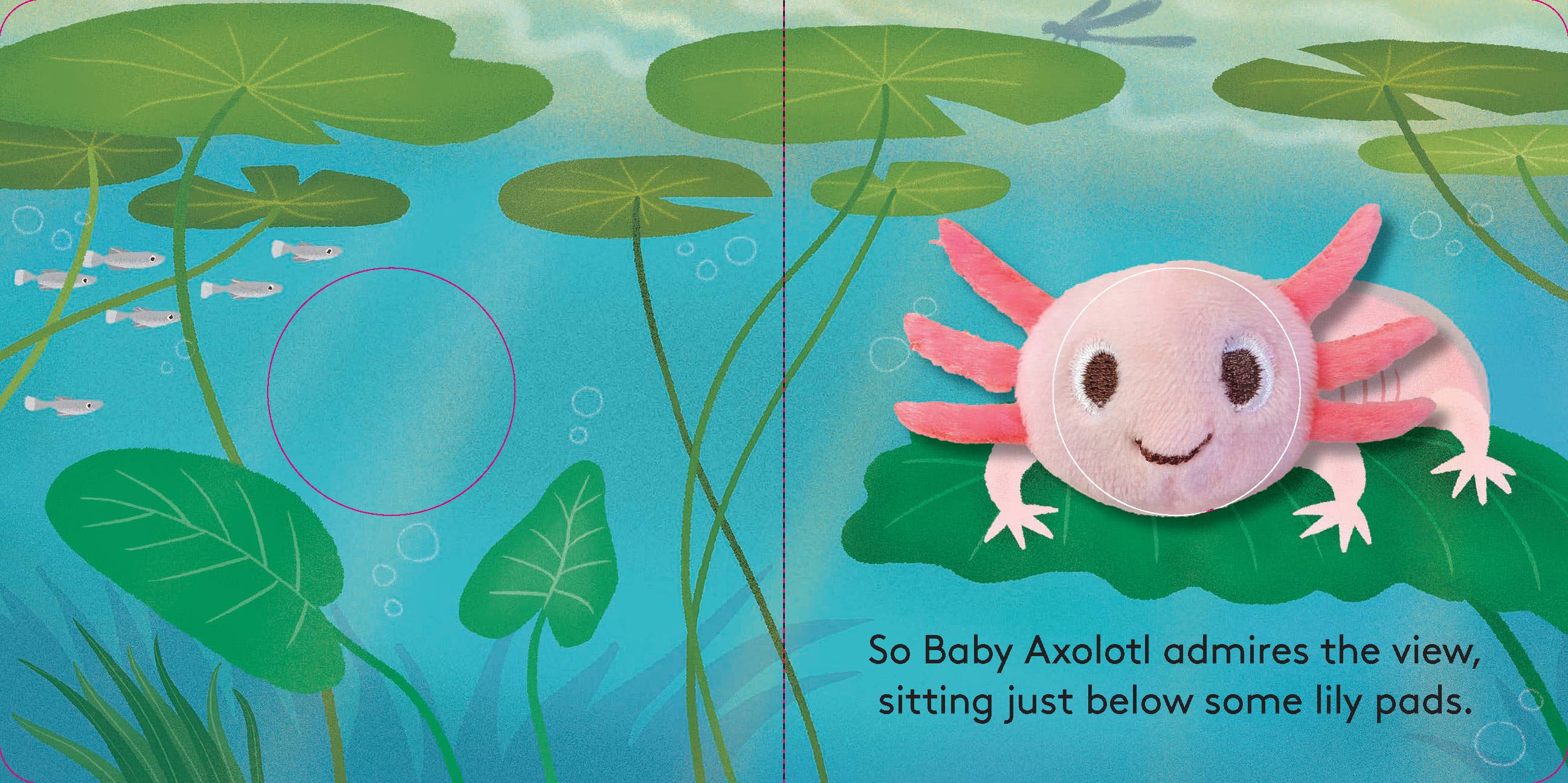 Chronicle Books - Baby Axolotl: Finger Puppet Book
