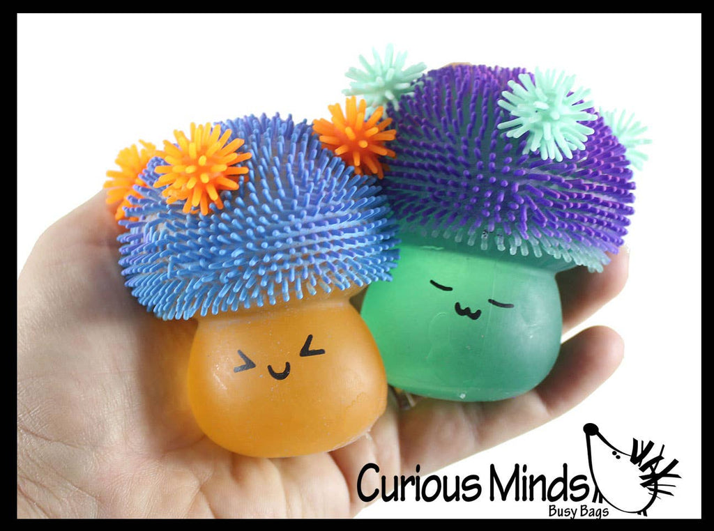Squishy Mushroom