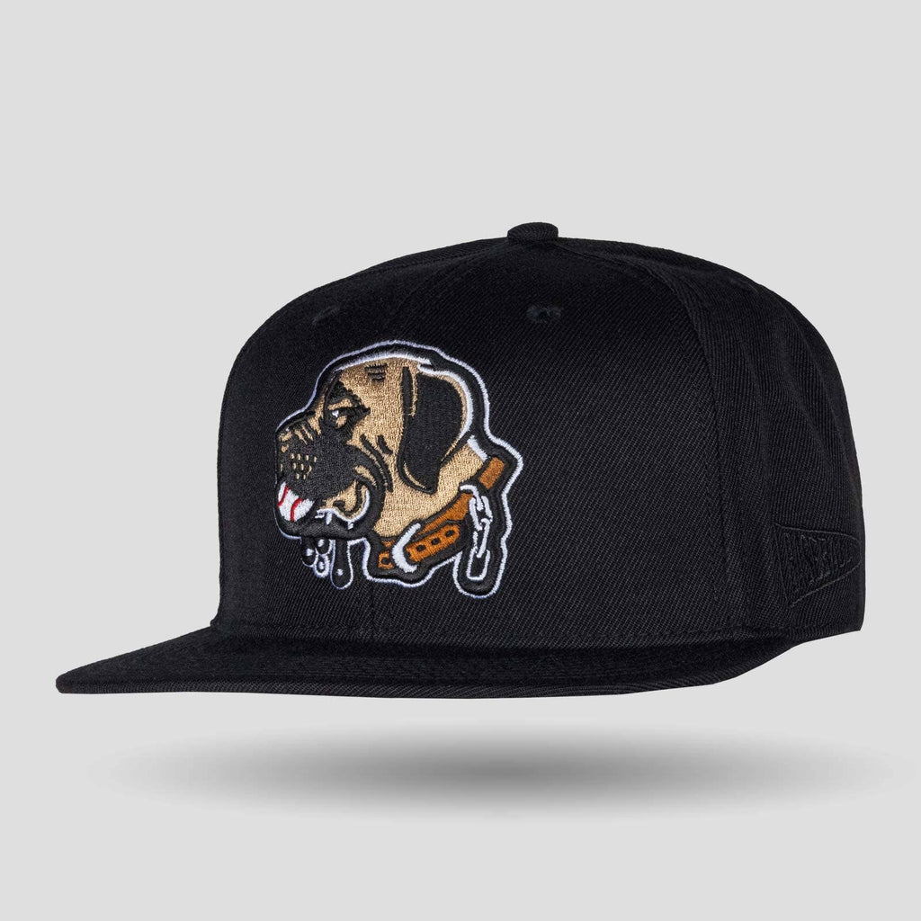 Baseballism - Hercules Snapback Cap
