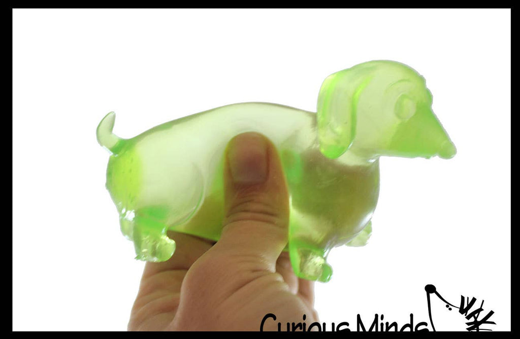 Squishy Dachshund Dog