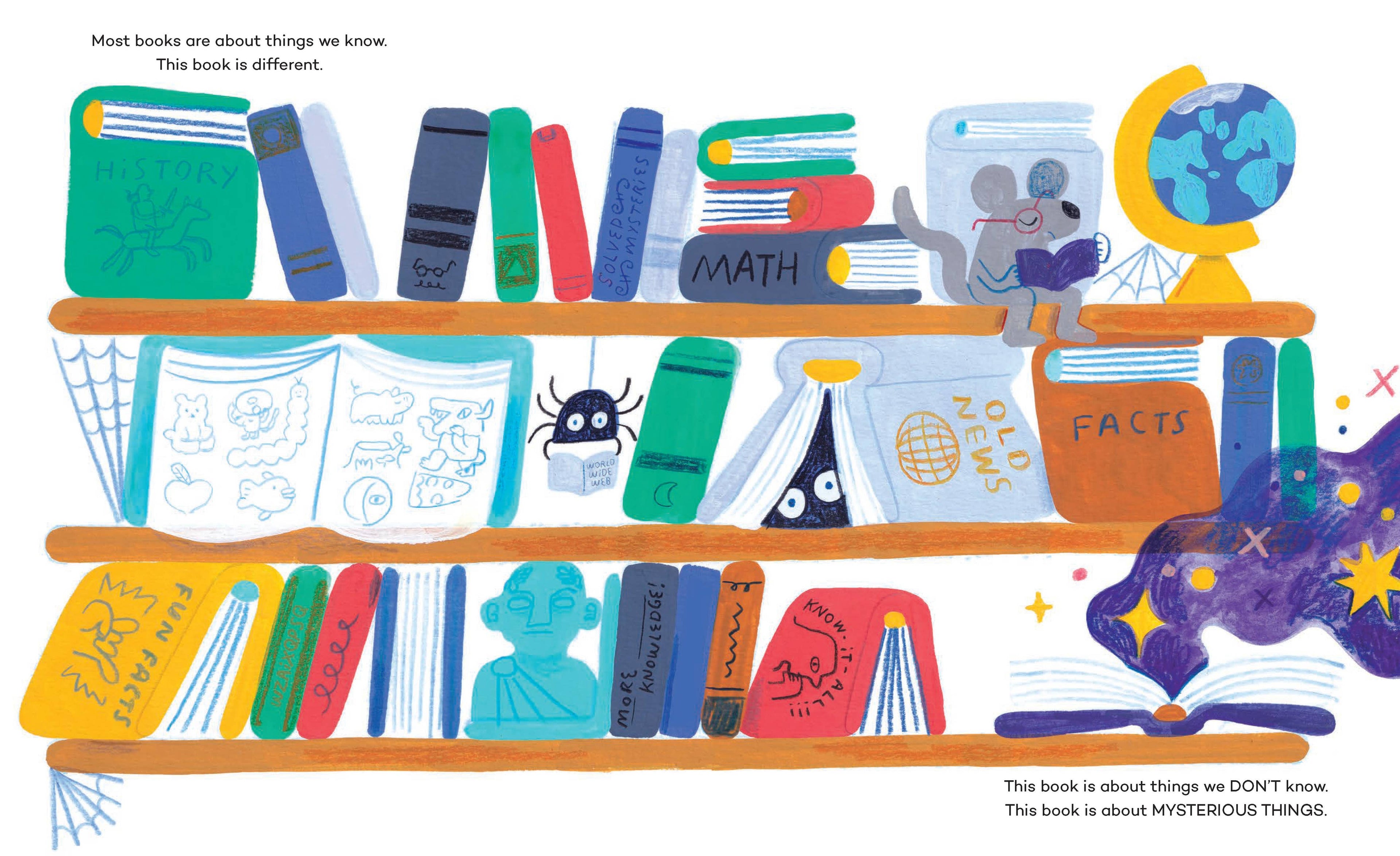 Chronicle Books - Mysterious Things
