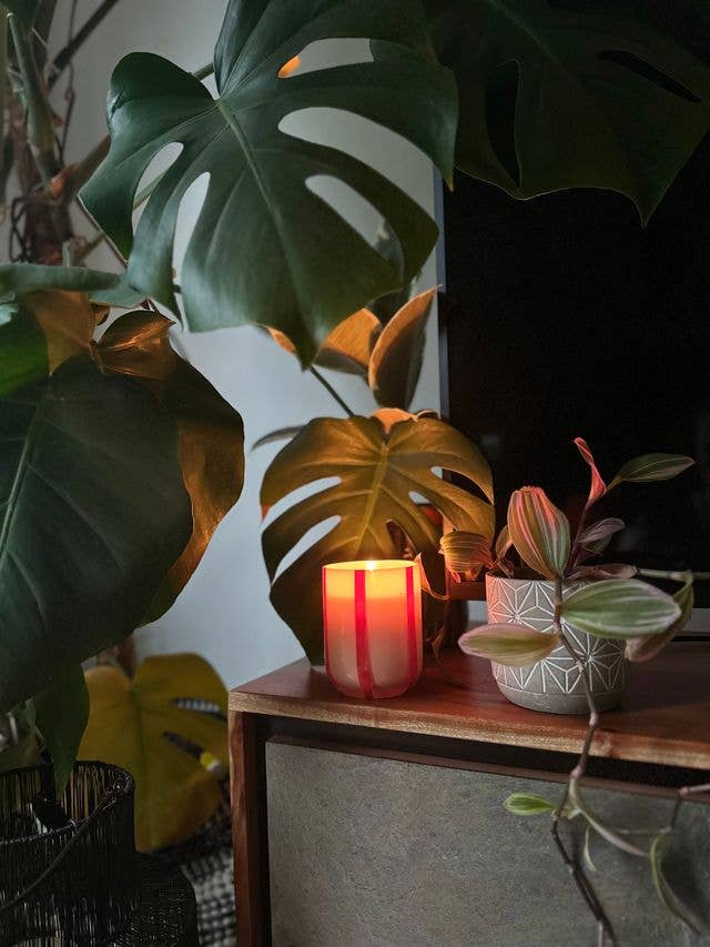 MÆGEN - Atina Candle - Orange Blossom & Basil