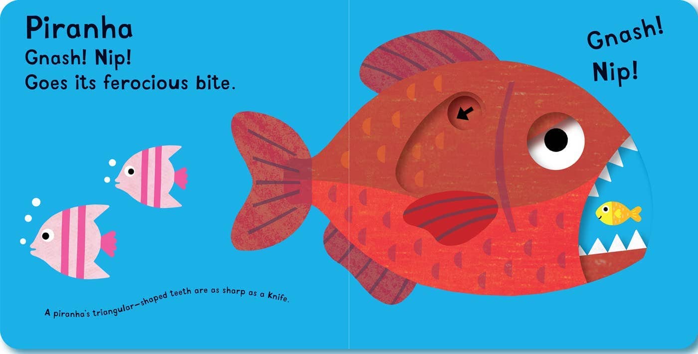 Snap! Snap! I’m a Crocodile! Board Book
